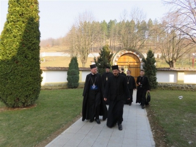 2016-12-81-013v 2016-12-81-013v