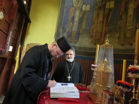 2016-12-81-017v 2016-12-81-017v