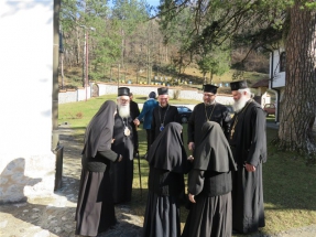 2016-12-81-031v 2016-12-81-031v