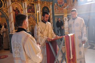 2016-12-82-029v 2016-12-82-029v