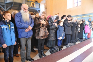 2016-12-82-031v 2016-12-82-031v