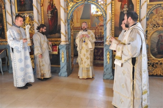 2016-12-82-037v 2016-12-82-037v