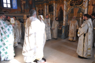 2016-12-82-039v 2016-12-82-039v