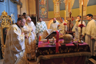 2016-12-82-042v 2016-12-82-042v