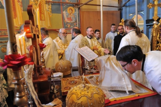 2016-12-82-044v 2016-12-82-044v