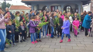 2017-04-011-001v 2017-04-011-001v