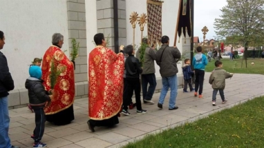 2017-04-011-009v 2017-04-011-009v