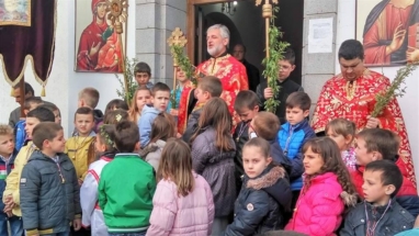 2017-04-011-011v 2017-04-011-011v