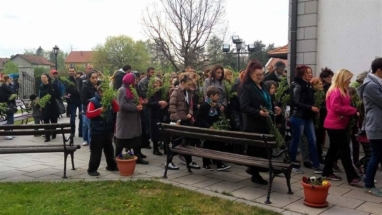 2017-04-011-015v 2017-04-011-015v