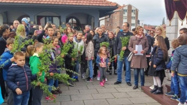 2017-04-011-018v 2017-04-011-018v