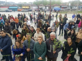 2017-04-011-029v 2017-04-011-029v