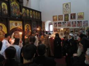 2017-04-07-013v 2017-04-07-013v