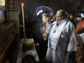 2017-04-07-029v 2017-04-07-029v