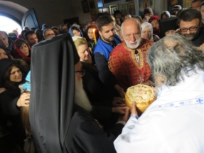 2017-04-07-031v 2017-04-07-031v