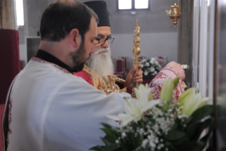 2017-04-17-005v 2017-04-17-005v