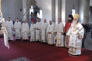 2017-04-17-009v 2017-04-17-009v