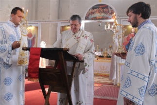 2017-04-17-031v 2017-04-17-031v