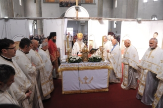 2017-04-17-032v 2017-04-17-032v