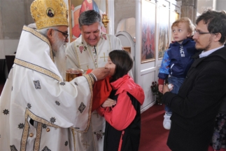 2017-04-17-059v 2017-04-17-059v