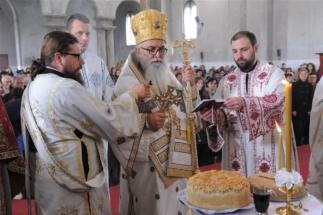 2017-04-17-062v 2017-04-17-062v