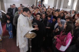 2017-04-17-071v 2017-04-17-071v