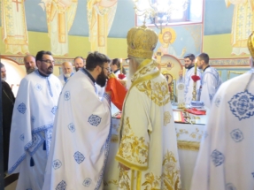 2017-04-21-029v 2017-04-21-029v