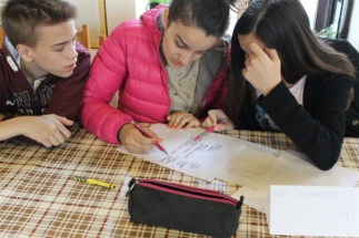 2017-04-21-113v 2017-04-21-113v