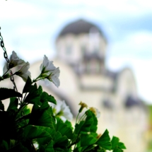 2017-04-22-001v 2017-04-22-001v