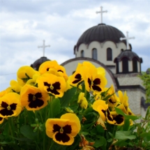 2017-04-22-004v 2017-04-22-004v