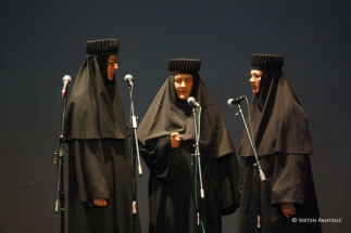 2017-04-24-017v 2017-04-24-017v