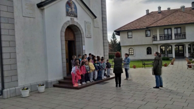 viber image 7 viber image 7