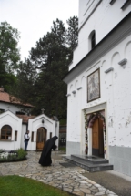 _SHA6024 (Large) _SHA6024 (Large)