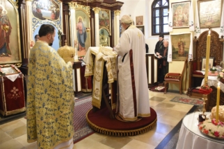 _SHA6031 (Large) _SHA6031 (Large)