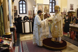 _SHA6047 (Large) _SHA6047 (Large)