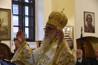 _SHA6056 (Large) _SHA6056 (Large)