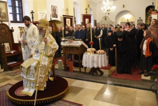 _SHA6069 (Large) _SHA6069 (Large)