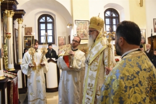 _SHA6083 (Large) _SHA6083 (Large)