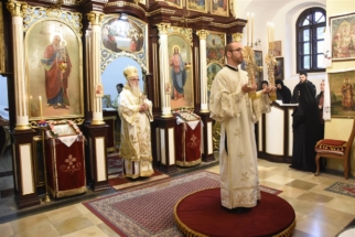 _SHA6091 (Large) _SHA6091 (Large)