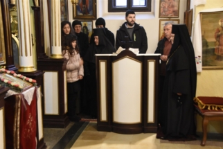 _SHA6097 (Large) _SHA6097 (Large)