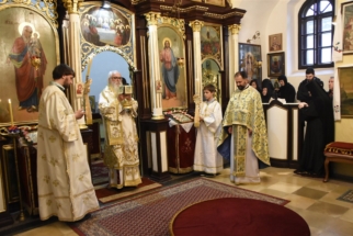 _SHA6142 (Large) _SHA6142 (Large)