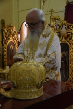 _SHA6177 (Large) _SHA6177 (Large)