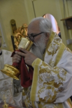 _SHA6189 (Large) _SHA6189 (Large)