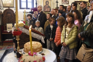 _SHA6213 (Large) _SHA6213 (Large)