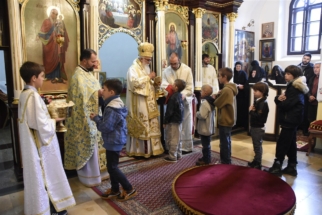 _SHA6221 (Large) _SHA6221 (Large)