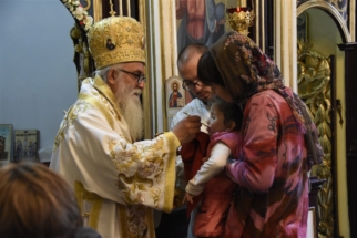 _SHA6222 (Large) _SHA6222 (Large)