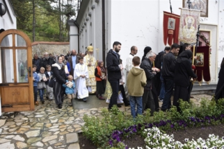 _SHA6243 (Large) _SHA6243 (Large)