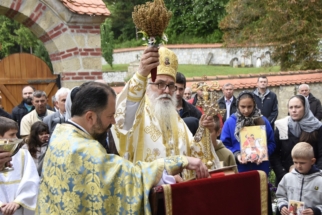 _SHA6252 (Large) _SHA6252 (Large)