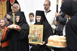 _SHA6281 (Large) _SHA6281 (Large)