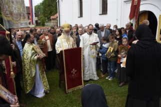 _SHA6284 (Large) _SHA6284 (Large)