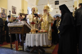 _SHA6294 (Large) _SHA6294 (Large)